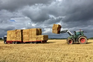 Achiziția, instalarea și punerea în funcțiune a utilajelor