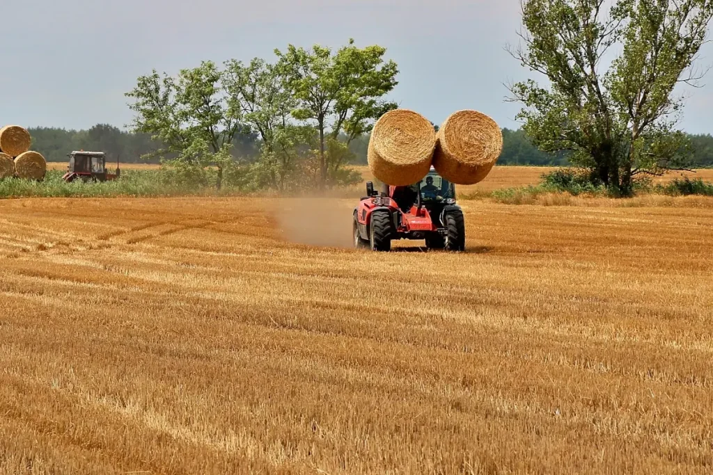 Furaje pe bază de lucernă