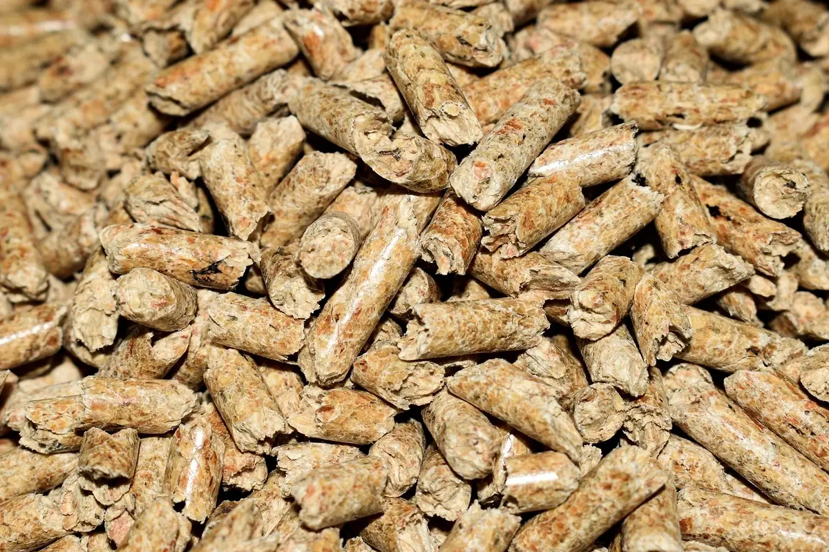 Peleți de biomasă și biocombustibil