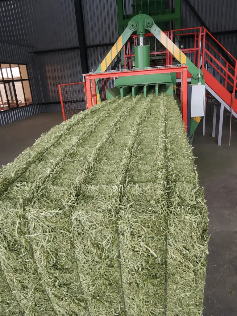 Balot de lucernă compactat într-o presă industrială